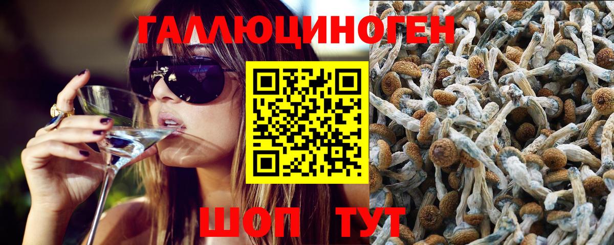 Галлюциногенные грибы MAGIC MUSHROOMS  Вход с VPN  Черкесск 
