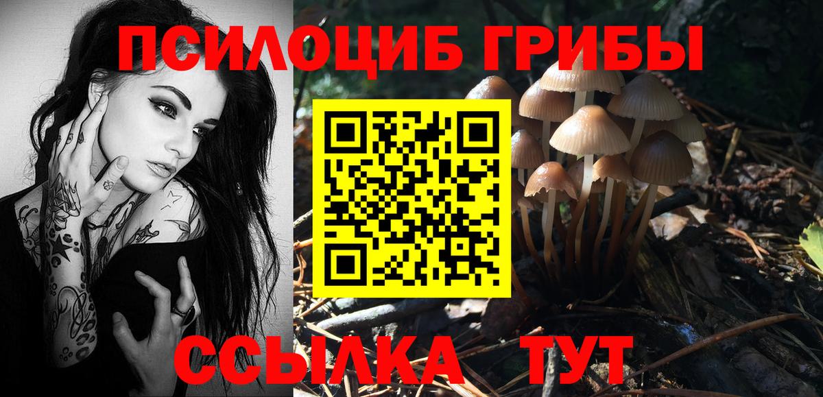 Псилоцибиновые грибы Cubensis Черкесск